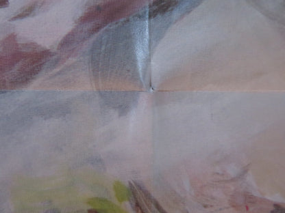 HIGH RISK FOLDED US ONE SHEET POSTER JAMES BROLIN ANTHONY QUINN 1981 Rendezvous Cinema Movie posters