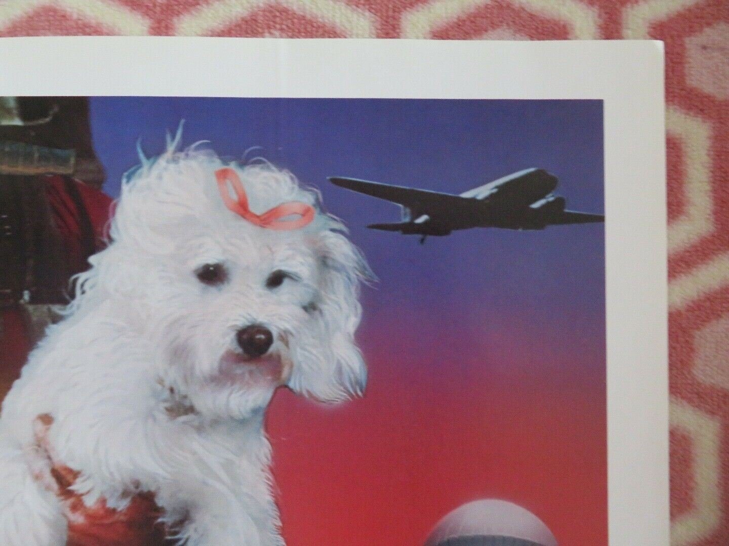 HIGH RISK US ONE SHEET POSTER JAMES BROLIN ANTHONY QUINN 1981 Movie posters