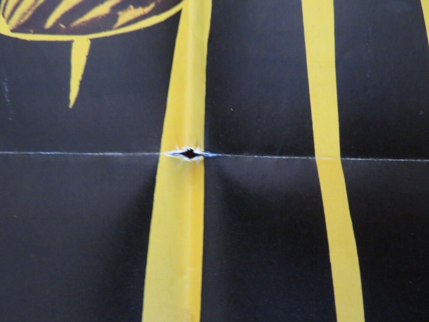 HIGH WILD AND FREE ONE FOLDED US ONE SHEET POSTER GORDON EASTMAN 1968 Movie posters