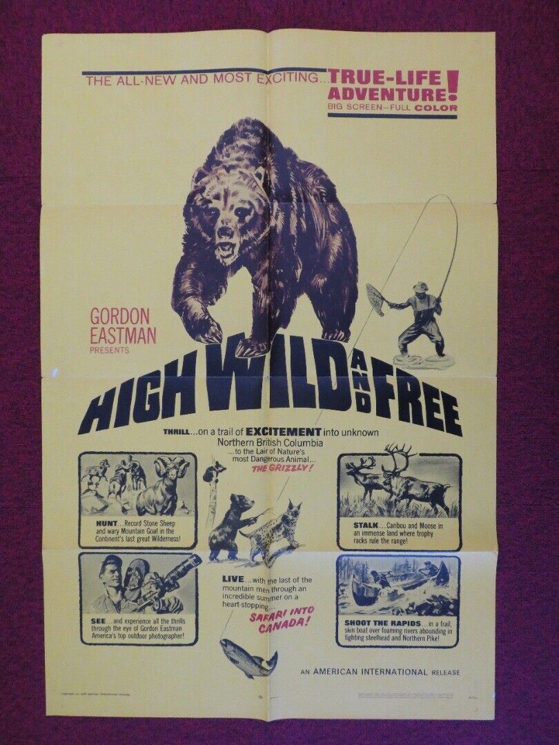 HIGH WILD AND FREE ONE FOLDED US ONE SHEET POSTER GORDON EASTMAN 1968 Movie posters