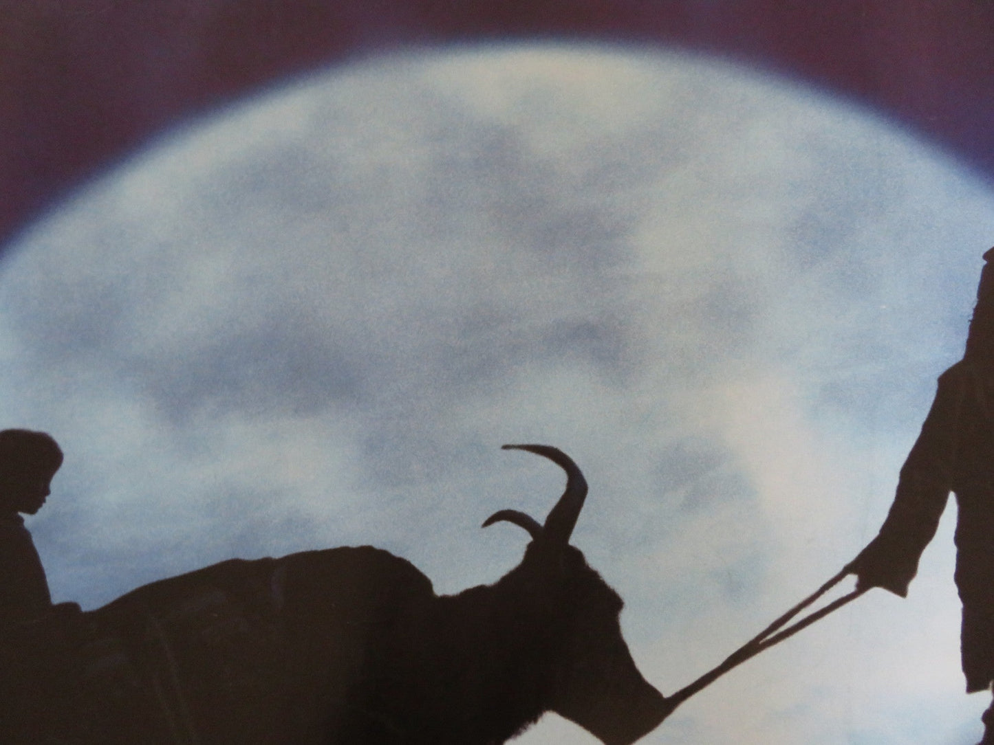 HIMALAYA UK QUAD (30"x 40") ROLLED POSTER THILEN LHONDUP GURGON KYAP 1999 Rendezvous Cinema Movie posters