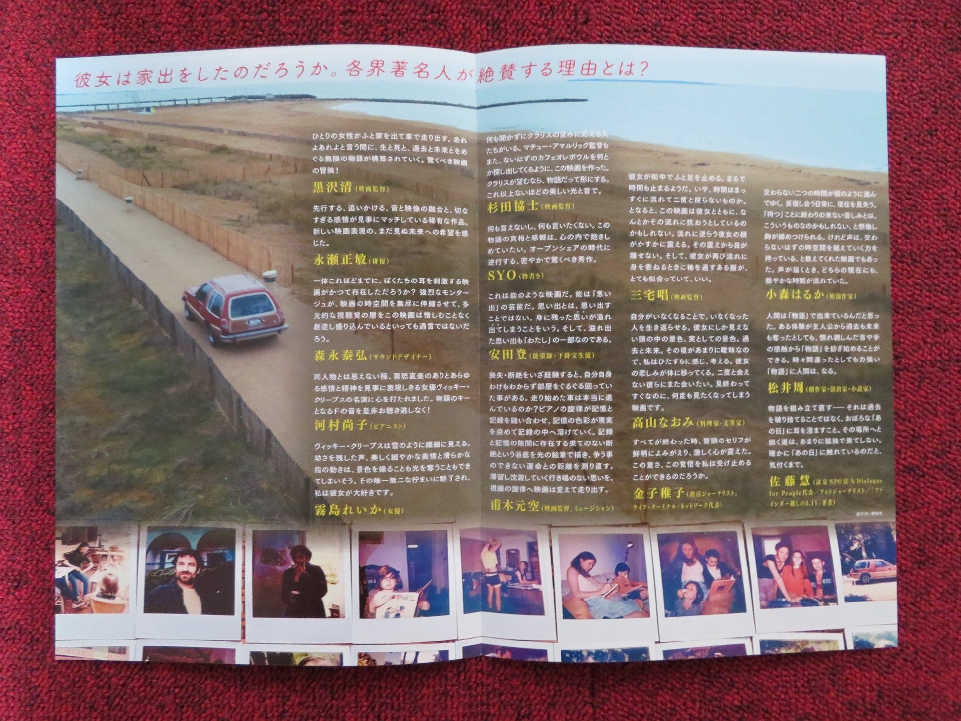 HOLD ME TIGHT JAPANESE CHIRASHI (B5) POSTER VICKY KRIEPS ARIEH WORTHALTER 2021 Rendezvous Cinema Movie posters