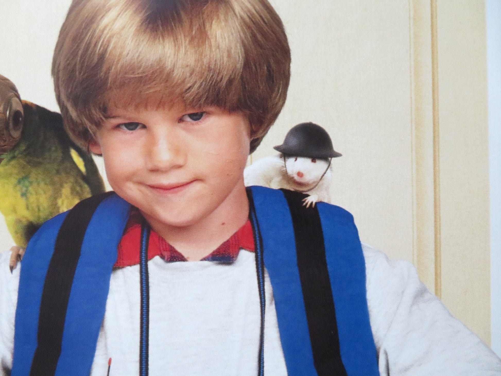 HOME ALONE 3 UK QUAD (30"x 40") ROLLED POSTER ALEX D. LINZ OLEK KRUPA 1997 Rendezvous Cinema Movie posters