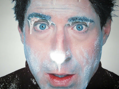 HOME ALONE 3 VERSION B US ONE SHEET ROLLED POSTER DAVID THORNTON 1997 Movie posters