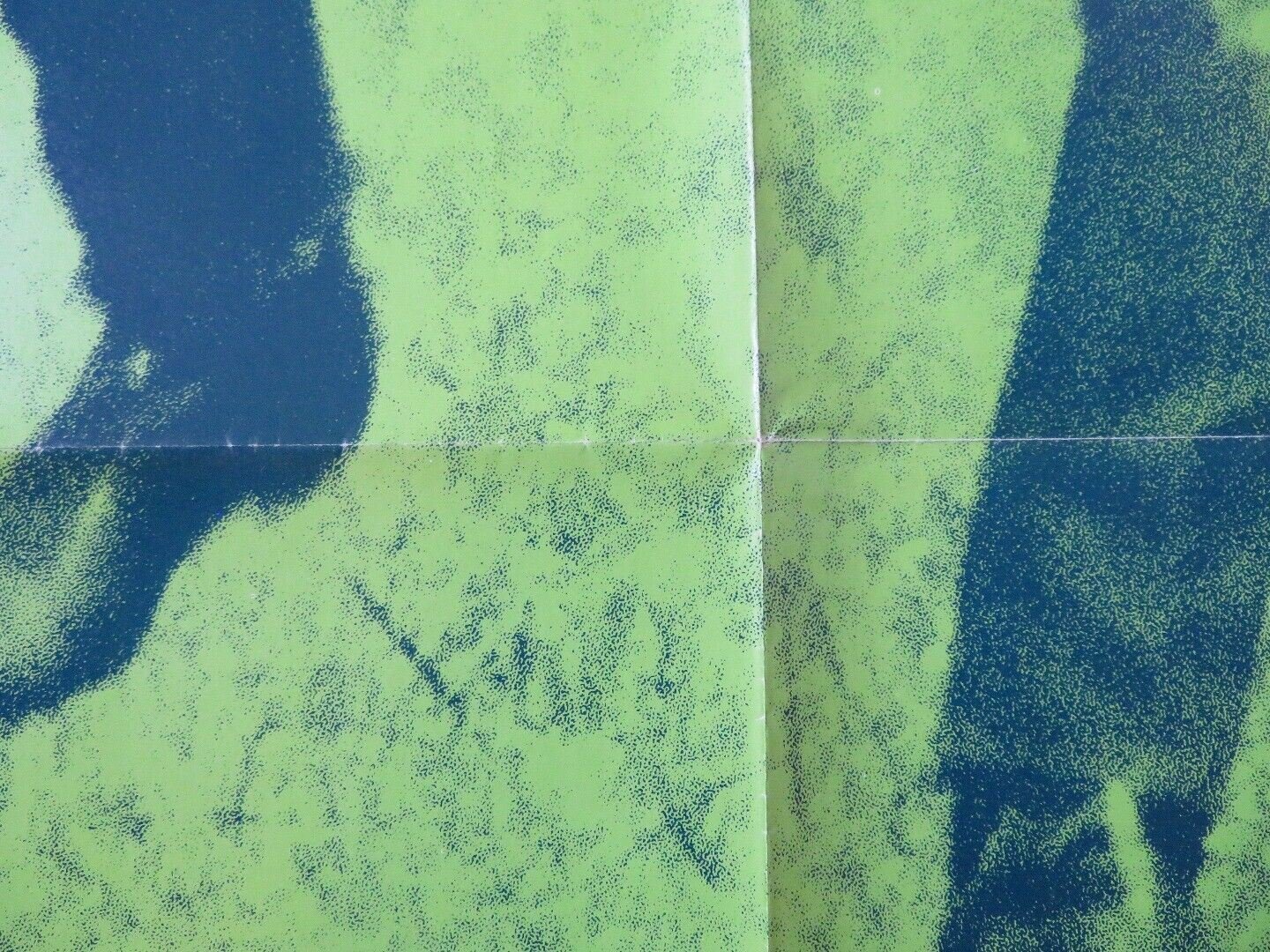 HOMER FOLDED US ONE SHEET POSTER DON SCARDINO TISA FARROW 1970 Movie posters