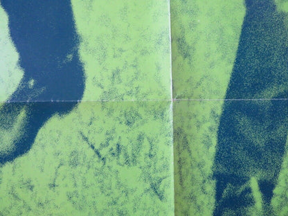 HOMER FOLDED US ONE SHEET POSTER DON SCARDINO TISA FARROW 1970 Movie posters