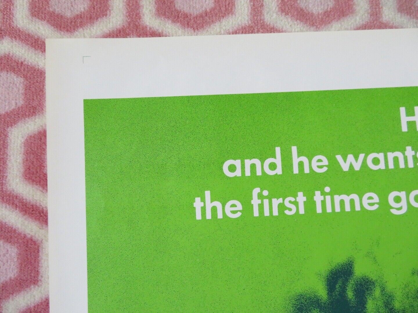 HOMER FOLDED US ONE SHEET POSTER DON SCARDINO TISA FARROW 1970 Movie posters