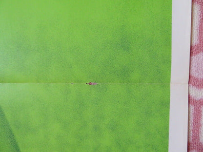 HOMER FOLDED US ONE SHEET POSTER DON SCARDINO TISA FARROW 1970 Movie posters