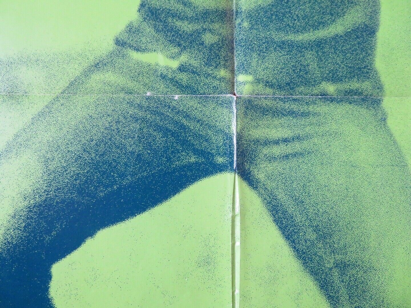 HOMER FOLDED US ONE SHEET POSTER DON SCARDINO TISA FARROW 1970 Movie posters