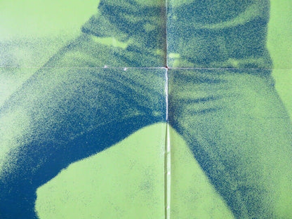 HOMER FOLDED US ONE SHEET POSTER DON SCARDINO TISA FARROW 1970 Movie posters