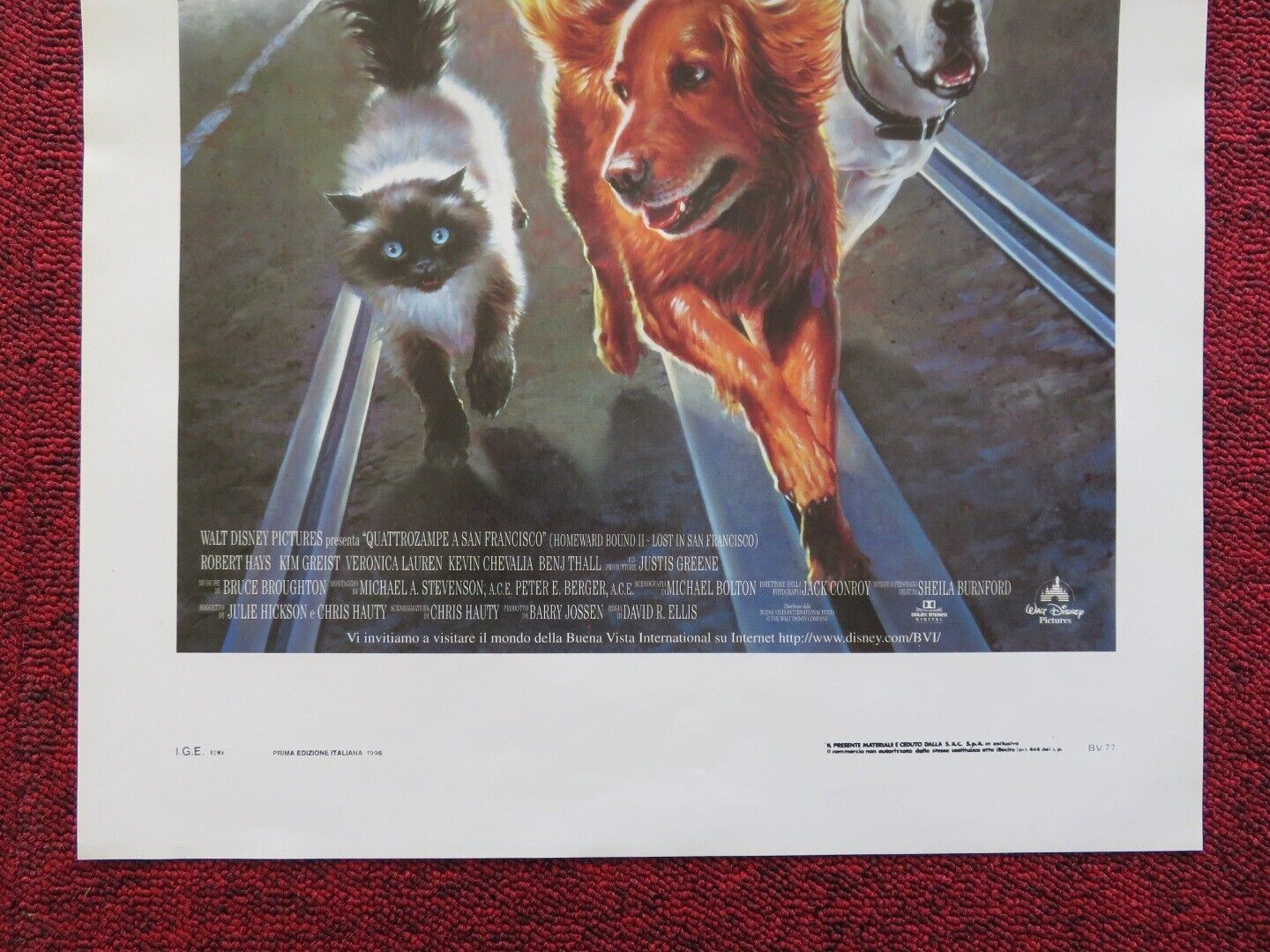 HOMEWARD BOUND II:LOST IN SAN FRANCISCO ITALIAN LOCANDINA (27.5"x13") POSTER '96 Movie posters