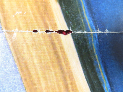 HOMEWORK FOLDED US ONE SHEET POSTER JOAN COLLINS MICHAEL MORGAN 1982 Rendezvous Cinema Movie posters