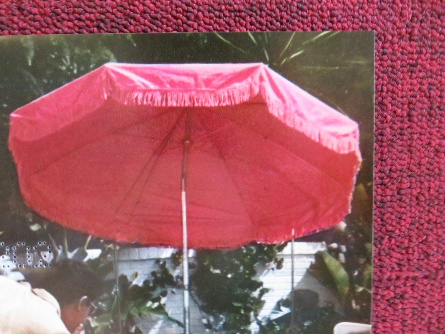 HOOK, LINE AND SINKER - E ITALIAN FOTOBUSTA POSTER JERRY LEWIS P. LAWFORD 1969 Rendezvous Cinema Movie posters