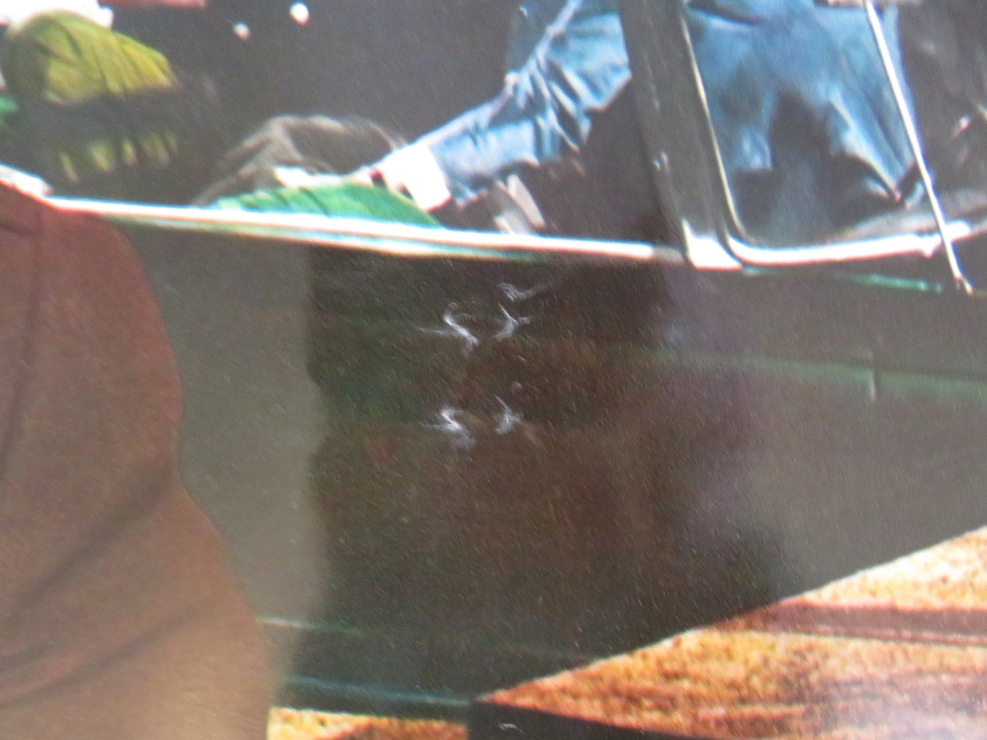 HOOK, LINE AND SINKER - I ITALIAN FOTOBUSTA POSTER JERRY LEWIS P. LAWFORD 1969 Rendezvous Cinema Movie posters