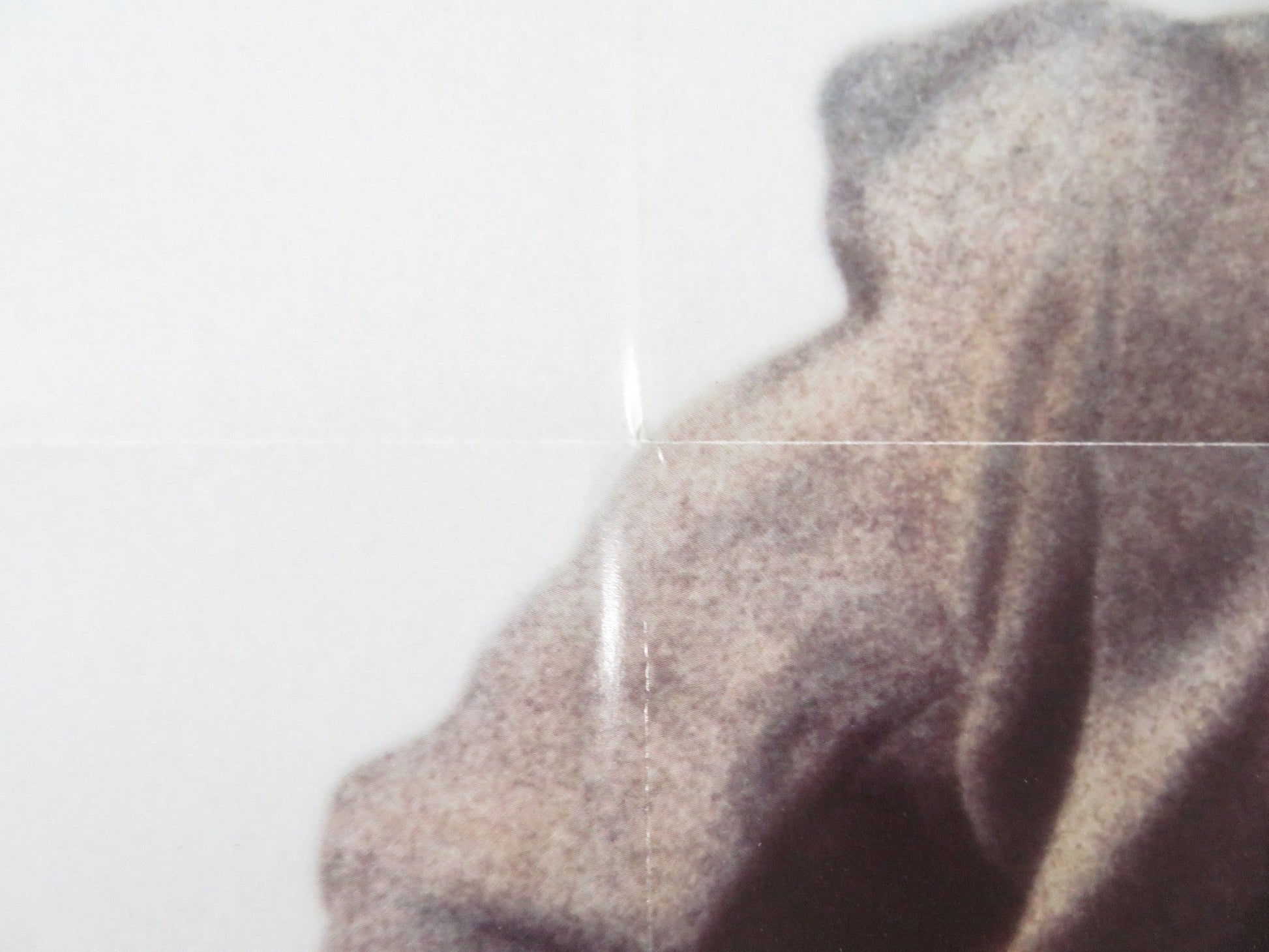 HOPE AND GLORY FOLDED US ONE SHEET POSTER SARAH MILES DAVID HAYMAN 1987 Rendezvous Cinema Movie posters