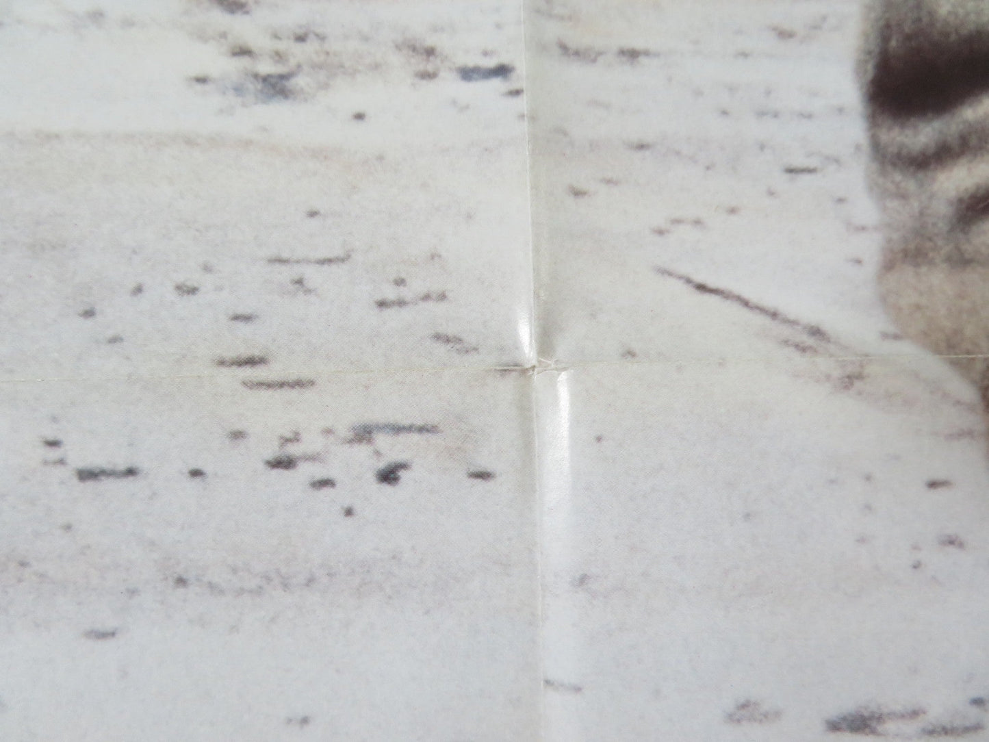 HOPE AND GLORY FOLDED US ONE SHEET POSTER SARAH MILES DAVID HAYMAN 1987 Rendezvous Cinema Movie posters