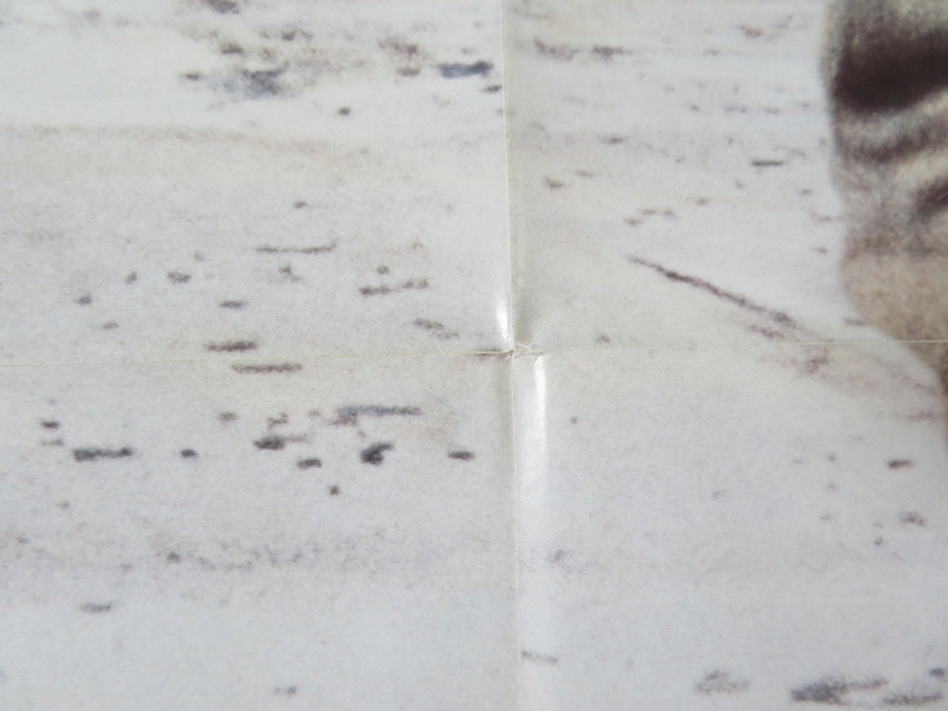 HOPE AND GLORY FOLDED US ONE SHEET POSTER SARAH MILES DAVID HAYMAN 1987 Rendezvous Cinema Movie posters