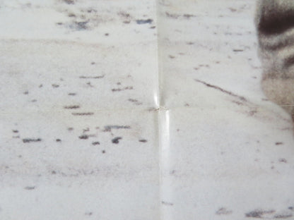 HOPE AND GLORY FOLDED US ONE SHEET POSTER SARAH MILES DAVID HAYMAN 1987 Rendezvous Cinema Movie posters