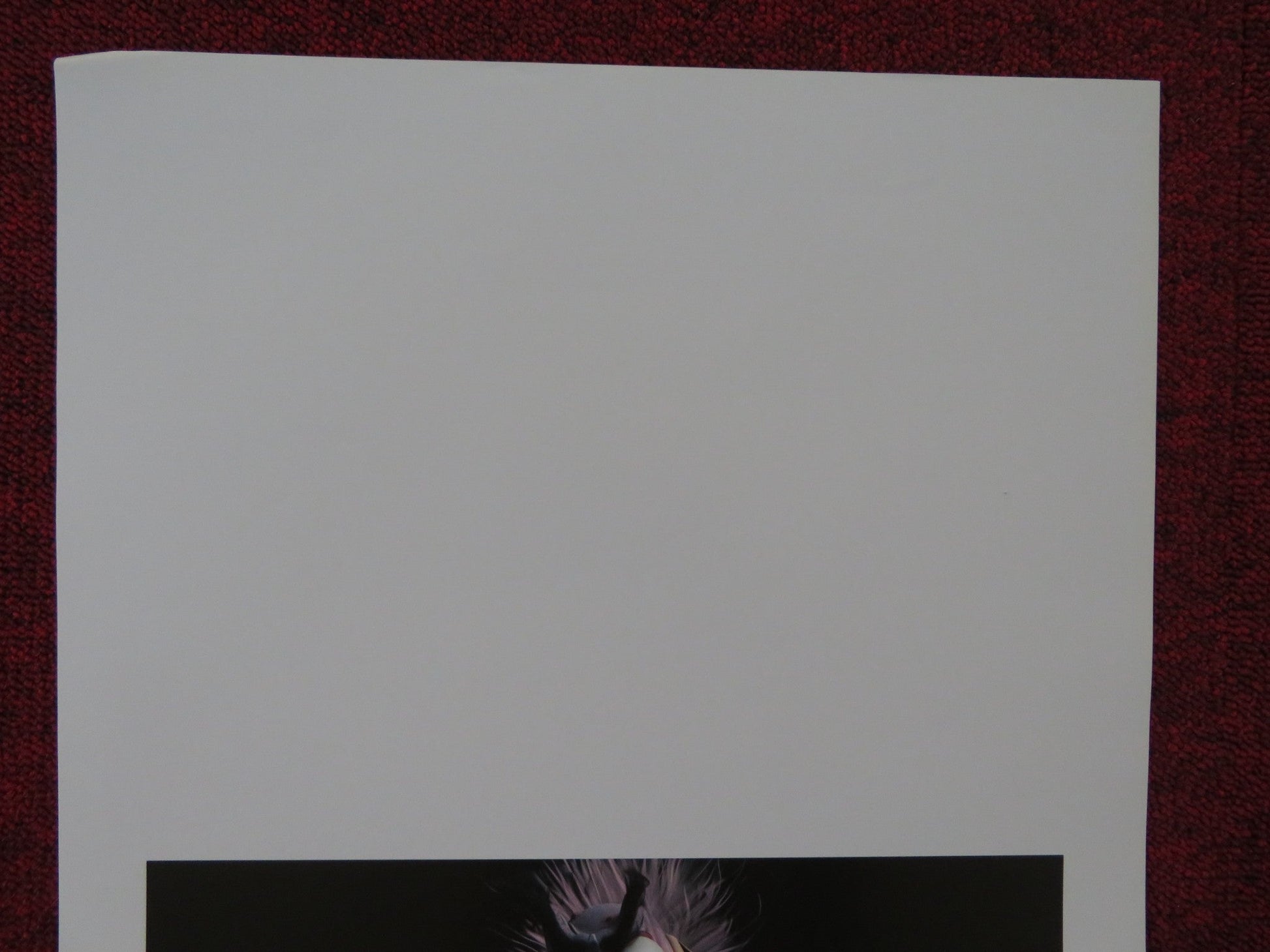 HORTON HEARS A WHO! ITALIAN LOCANDINA POSTER JIM CARREY STEVE CARELL 2008 Rendezvous Cinema Movie posters