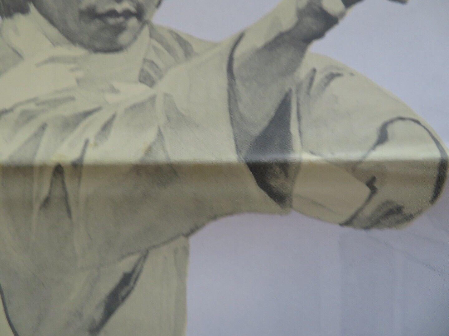 HOT DOG KUNG FU US ONE SHEET ROLLED POSTER 1970's & 1980's Movie posters