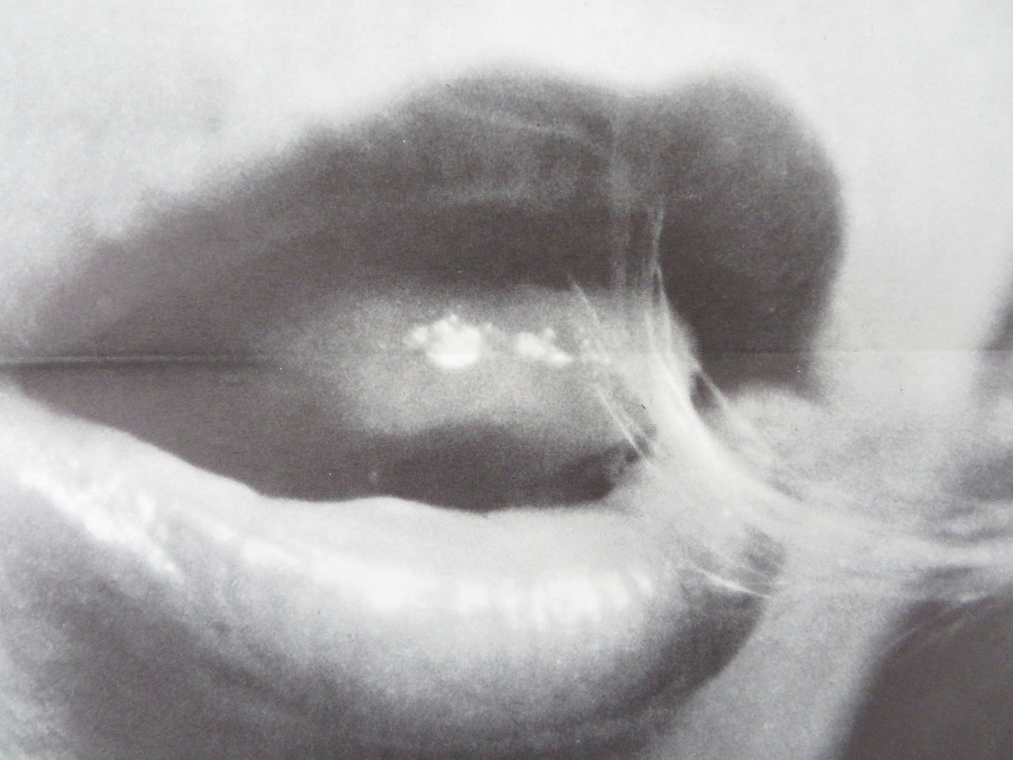 HOT SHOTS US TRI FOLDED ONE SHEET ROLLED POSTER SONNY LANDHAM MARY STUART 1974 Rendezvous Cinema Movie posters