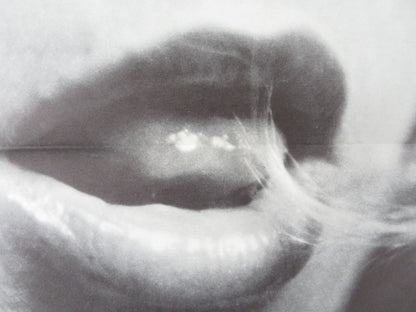 HOT SHOTS US TRI FOLDED ONE SHEET ROLLED POSTER SONNY LANDHAM MARY STUART 1974 Rendezvous Cinema Movie posters