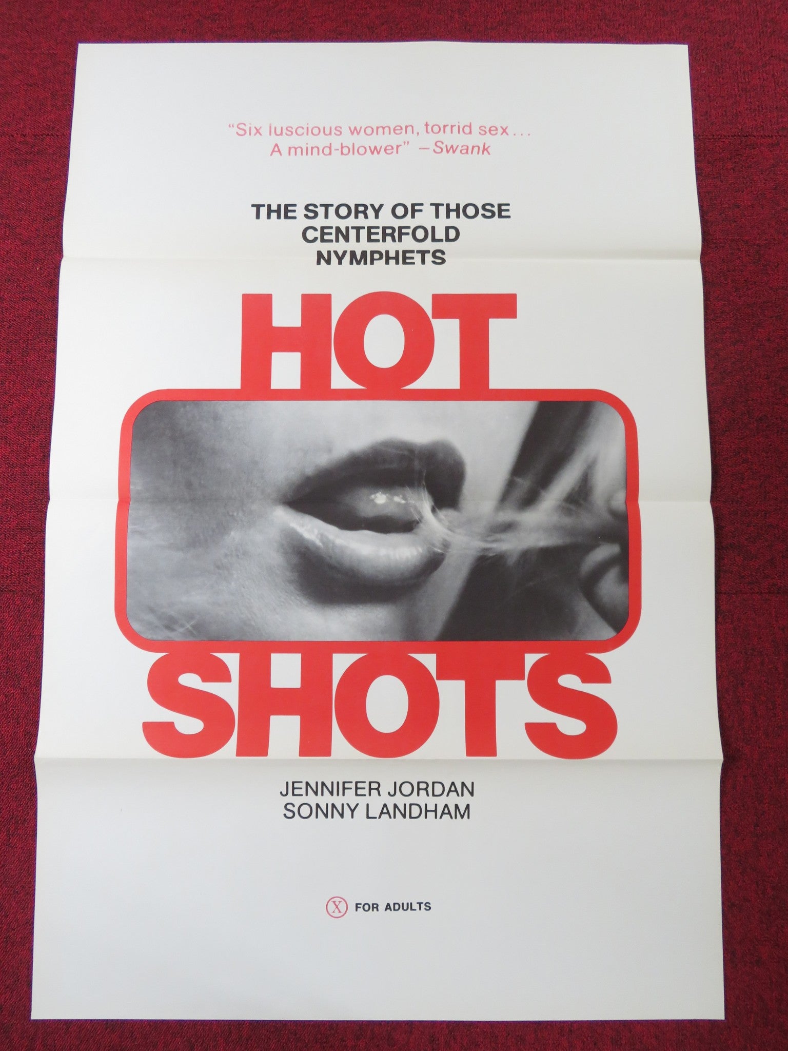 HOT SHOTS US TRI FOLDED ONE SHEET ROLLED POSTER SONNY LANDHAM MARY STUART 1974 Rendezvous Cinema Movie posters