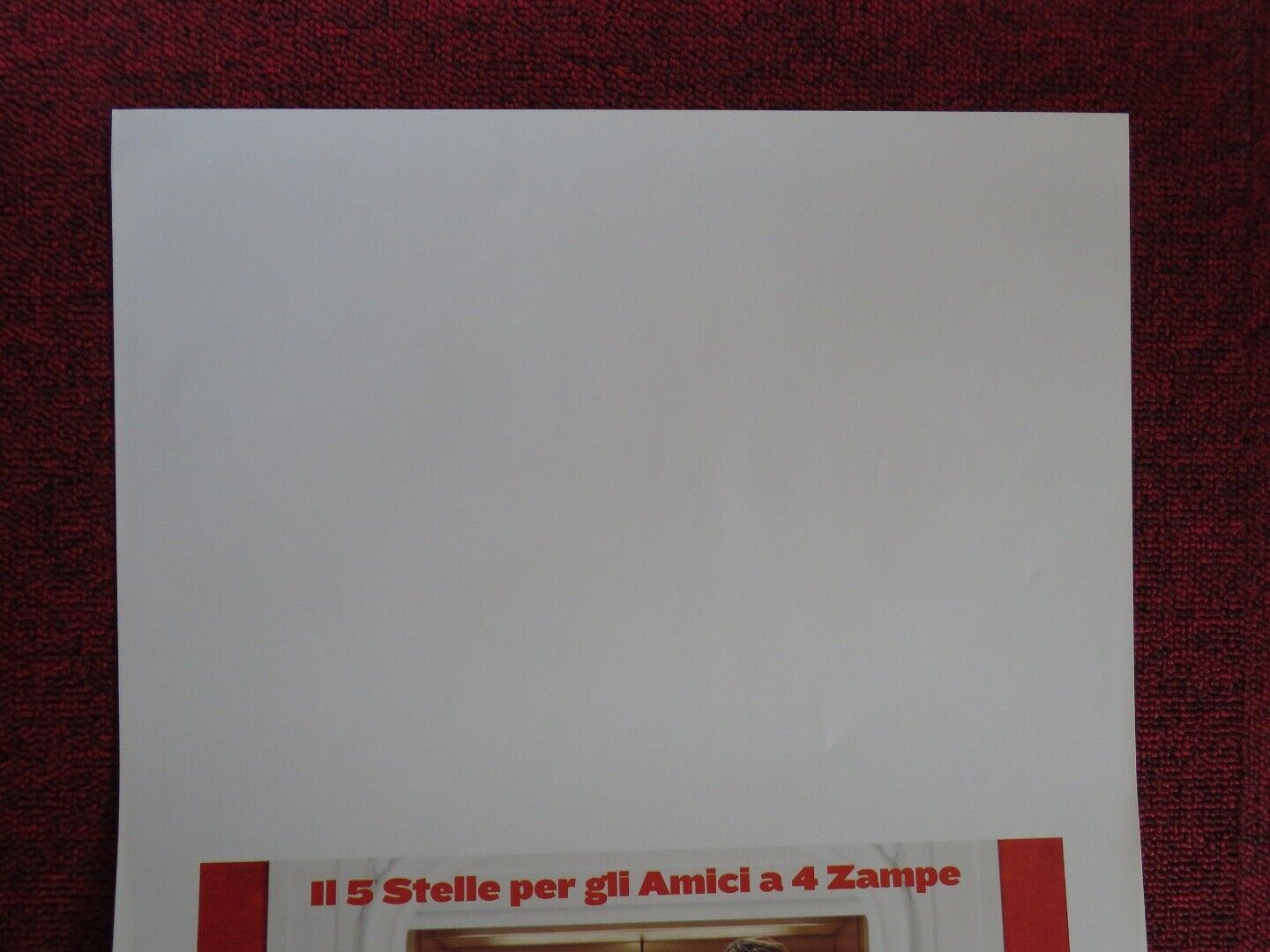 HOTEL FOR DOGS ITALIAN LOCANDINA (27.5"x13") POSTER EMMA ROBERTS 2009 Movie posters