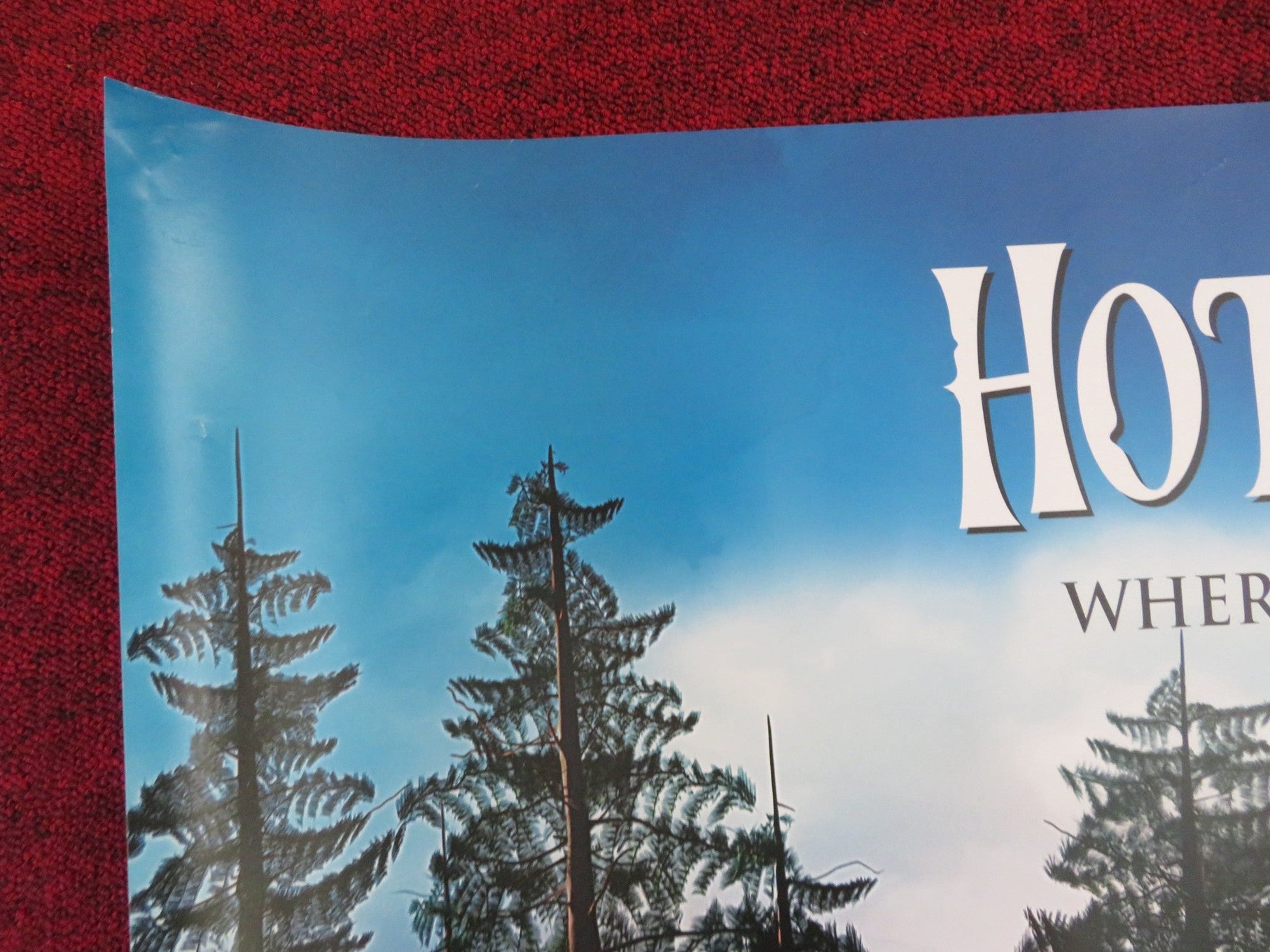 HOTEL TRANSYLVANIA UK QUAD (30"x 40") ROLLED POSTER ADAM SANDLER S. GOMEZ 2012 Rendezvous Cinema Movie posters