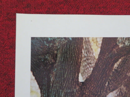 HOUSE CALLS FOLDED US ONE SHEET POSTER WALTER MATTHAU GLENDA JACKSON 1978 Movie posters