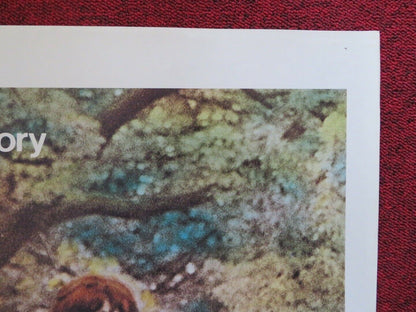 HOUSE CALLS FOLDED US ONE SHEET POSTER WALTER MATTHAU GLENDA JACKSON 1978 Movie posters