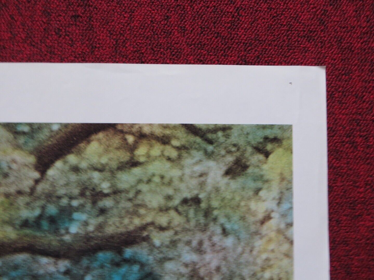 HOUSE CALLS FOLDED US ONE SHEET POSTER WALTER MATTHEW GLENDA JACKSON 1978 Movie posters