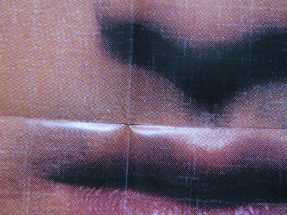 HOUSE OF FLYING DAGGERS FRENCH DOOR PANEL POSTER TAKESHI KANESHIRO ANDY LAU 2004 Rendezvous Cinema Movie posters