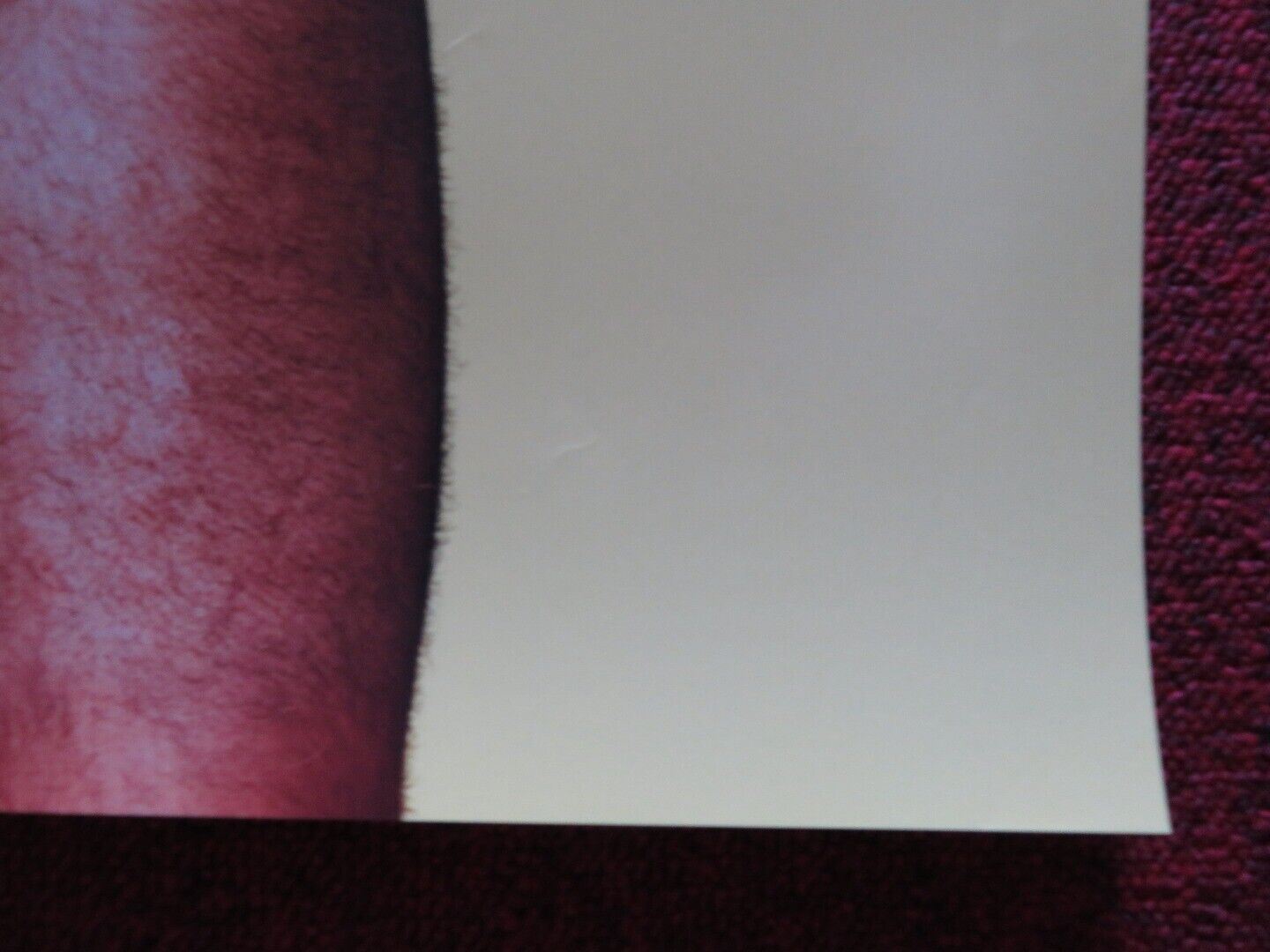 HOW TO BE A LATIN LOVER US ONE SHEET ROLLED POSTER EUGENIO DERBEZ 2017 Movie posters