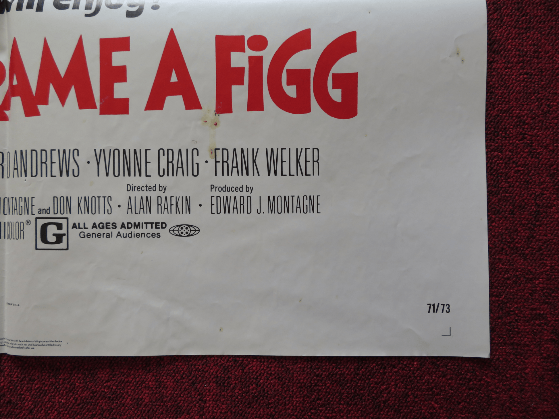HOW TO FRAME A FIGG FOLDED US ONE SHEET POSTER DON KNOTTS JOE FLYNN 1971 Rendezvous Cinema Movie posters