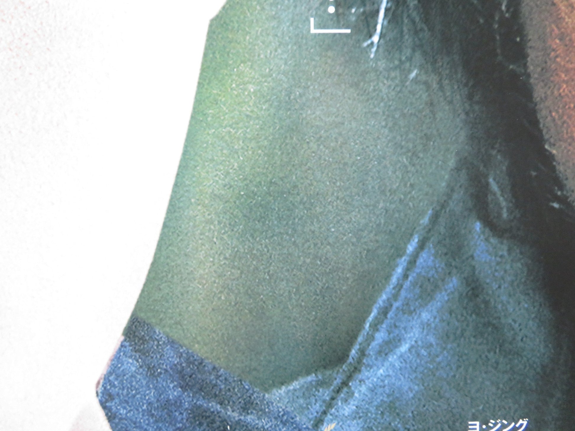 HWAYI: A MONSTER BOY JAPANESE B2 POSTER KIM YOON - SEOK YEO GIN - GU 2013 Rendezvous Cinema Movie posters