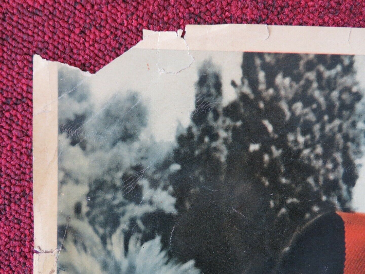 I 7 PECCTI DI PAPA / MY SEVEN LITTLE SINS - A ITALIAN FOTOBUSTA POSTER 1954 Movie posters