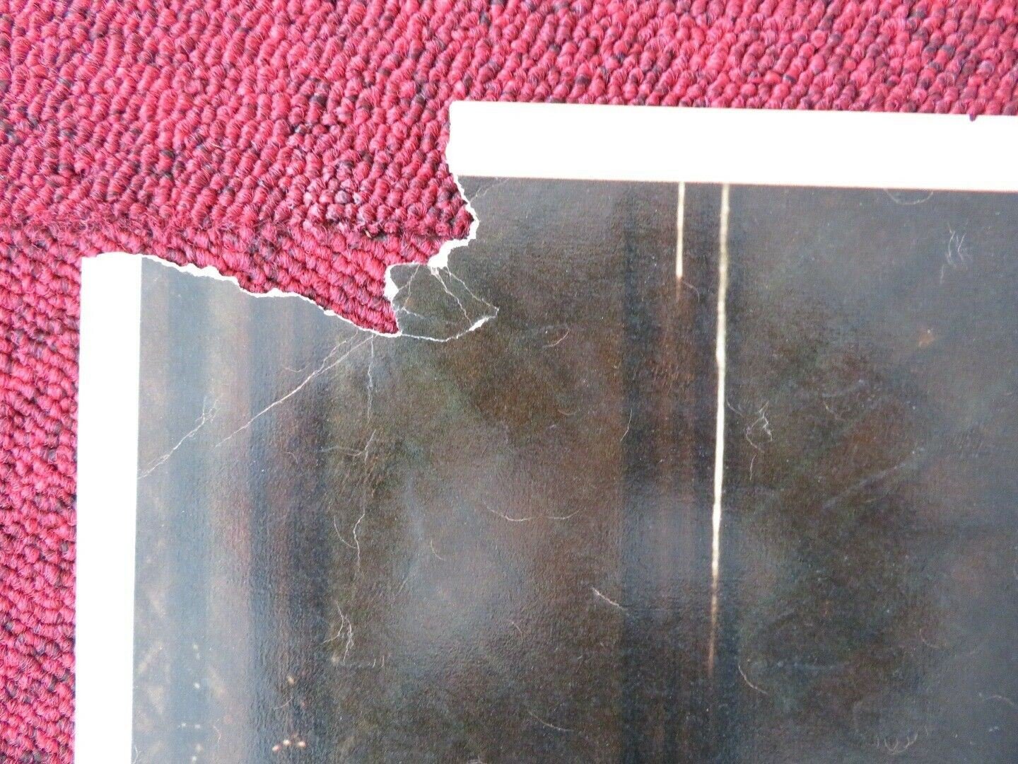 I 7 PECCTI DI PAPA / MY SEVEN LITTLE SINS - D ITALIAN FOTOBUSTA POSTER 1954 Movie posters