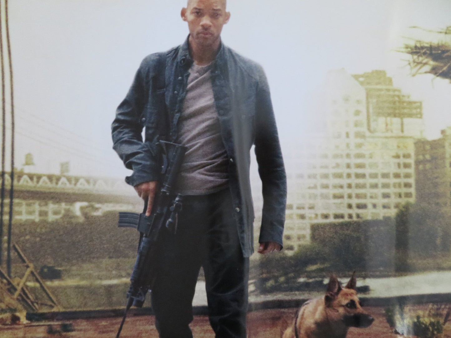 I AM LEGEND UK QUAD (30"x 40") ROLLED POSTER WILL SMITH ALICE BRAGA 2007 Rendezvous Cinema Movie posters