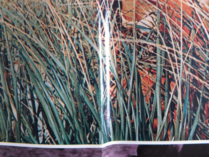 I BREVI GIORNI SELVAGGI / Last Summer - B ITALIAN FOTOBUSTA POSTER HERSHEY 1969 Rendezvous Cinema Movie posters