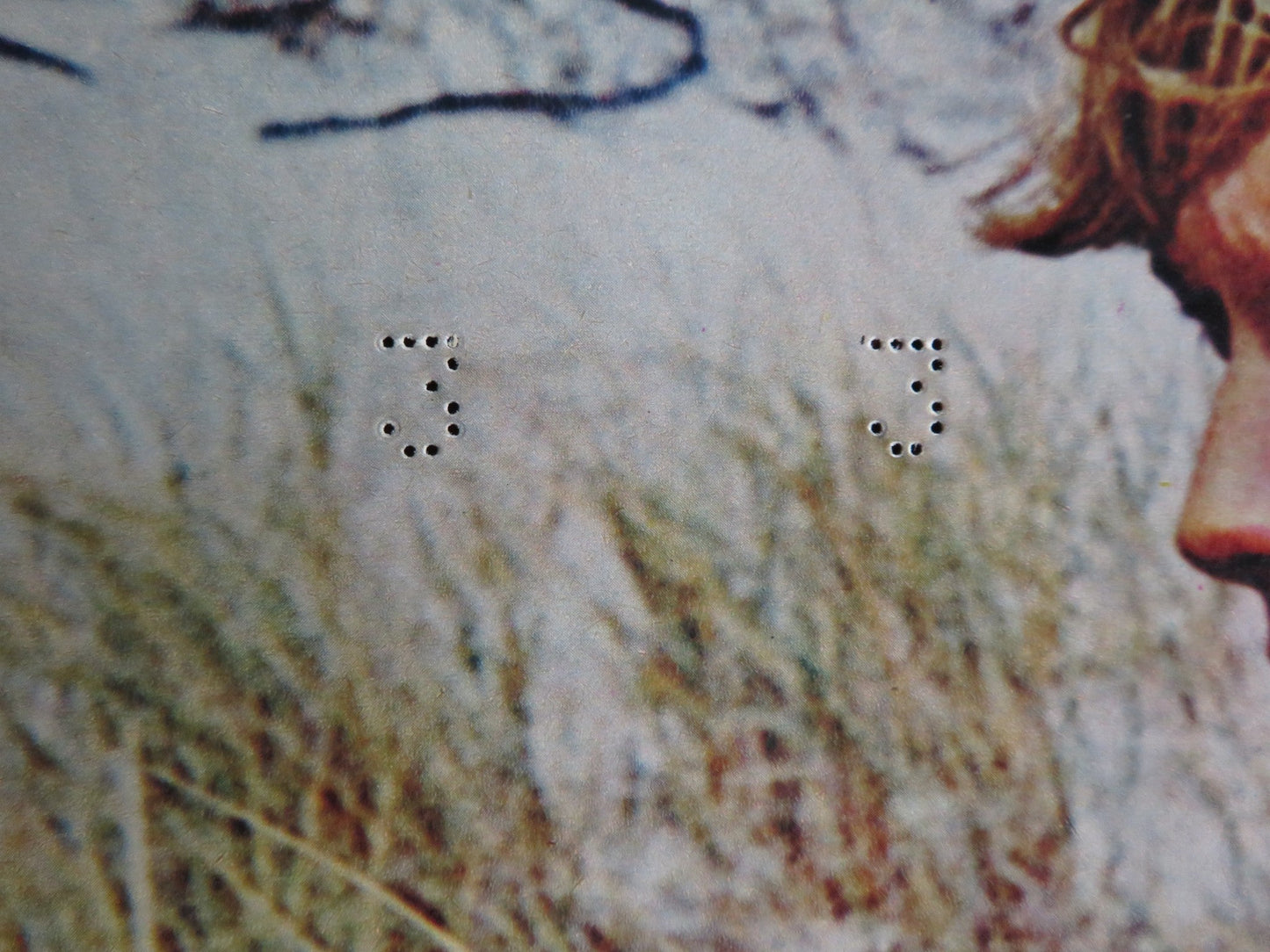 I BREVI GIORNI SELVAGGI / Last Summer - B ITALIAN FOTOBUSTA POSTER HERSHEY 1969 Rendezvous Cinema Movie posters