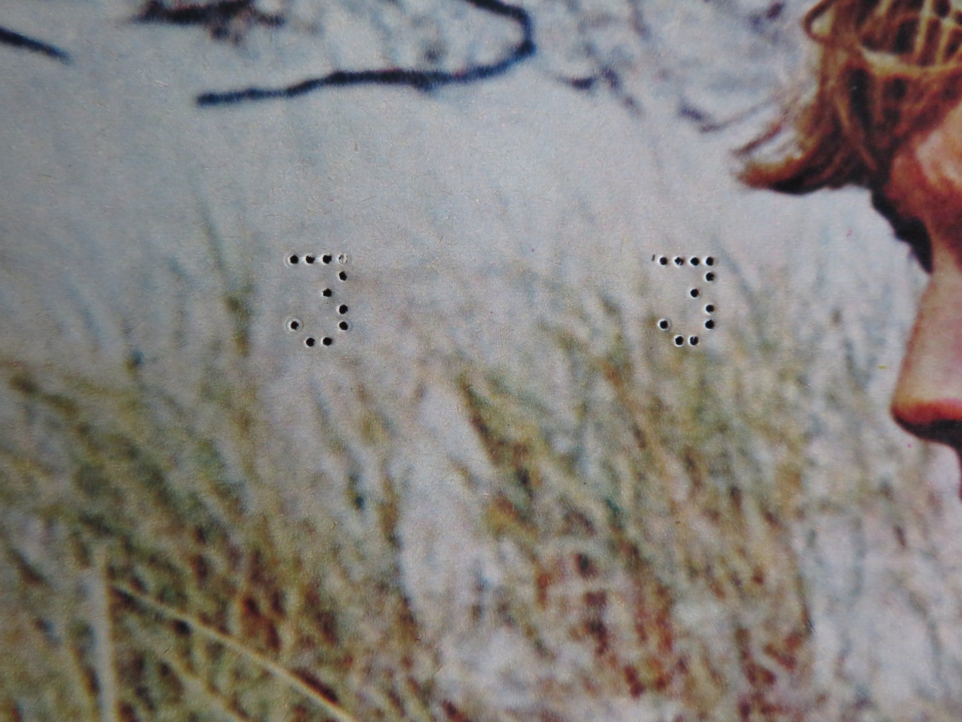 I BREVI GIORNI SELVAGGI / Last Summer - B ITALIAN FOTOBUSTA POSTER HERSHEY 1969 Rendezvous Cinema Movie posters