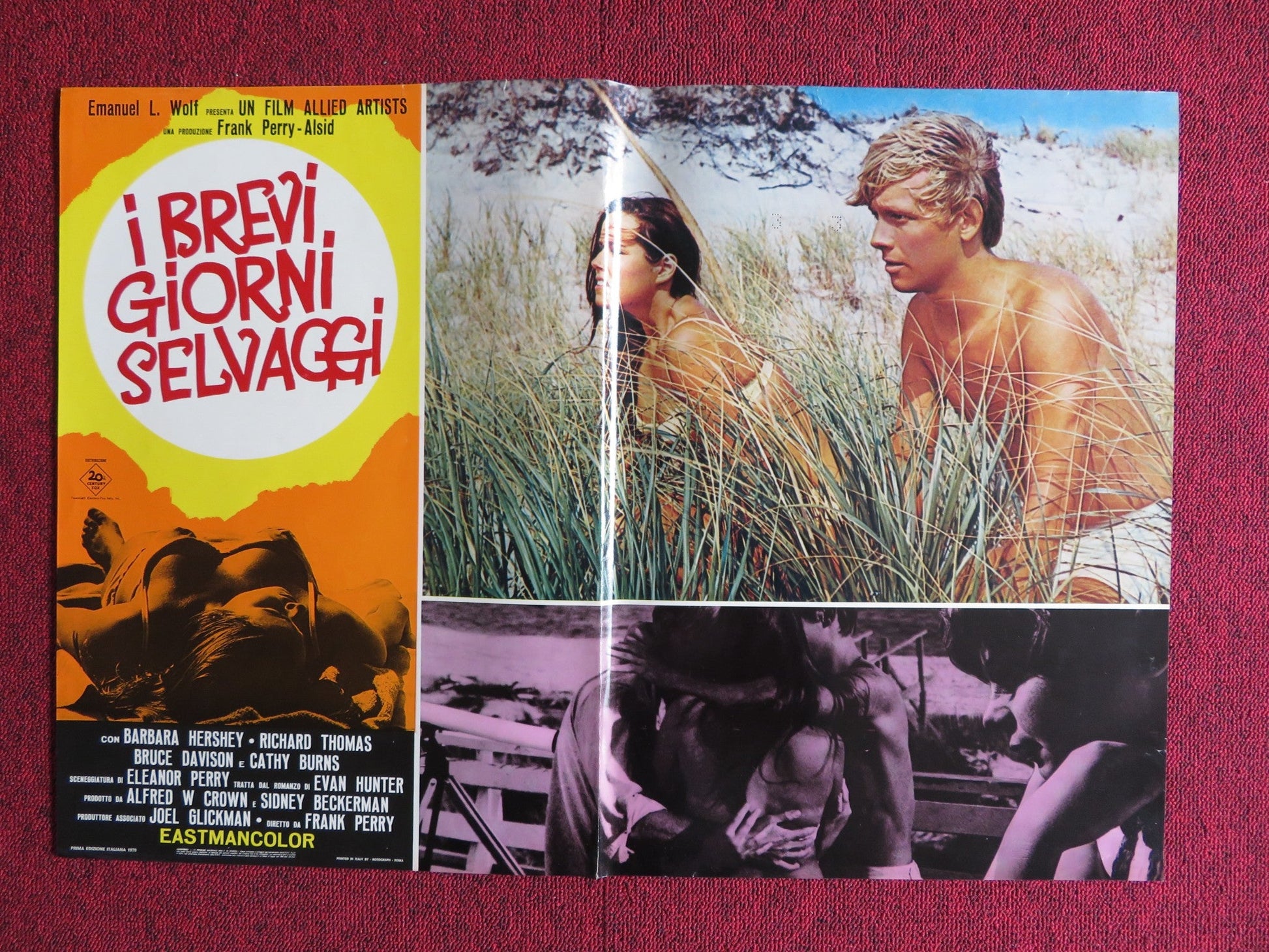 I BREVI GIORNI SELVAGGI / Last Summer - B ITALIAN FOTOBUSTA POSTER HERSHEY 1969 Rendezvous Cinema Movie posters