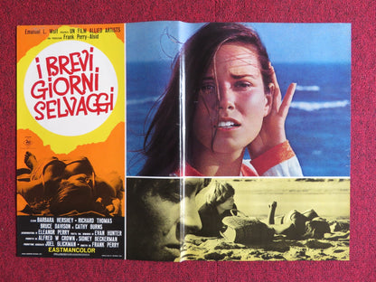 I BREVI GIORNI SELVAGGI / Last Summer - D ITALIAN FOTOBUSTA POSTER HERSHEY 1969 Rendezvous Cinema Movie posters