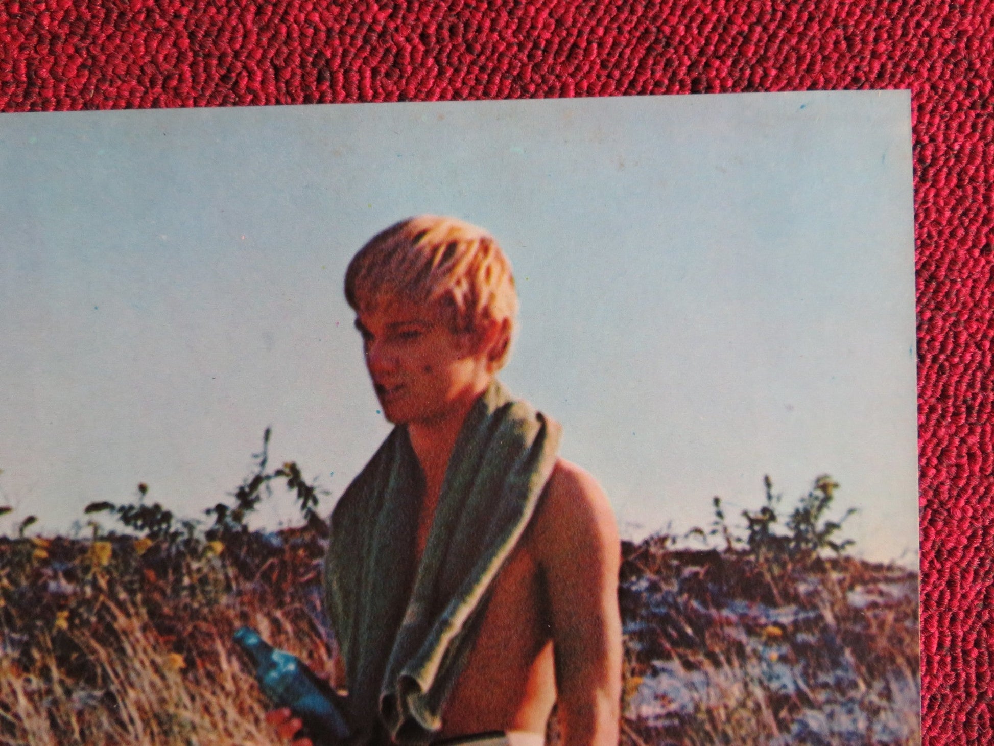 I BREVI GIORNI SELVAGGI / Last Summer - E ITALIAN FOTOBUSTA POSTER HERSHEY 1969 Rendezvous Cinema Movie posters