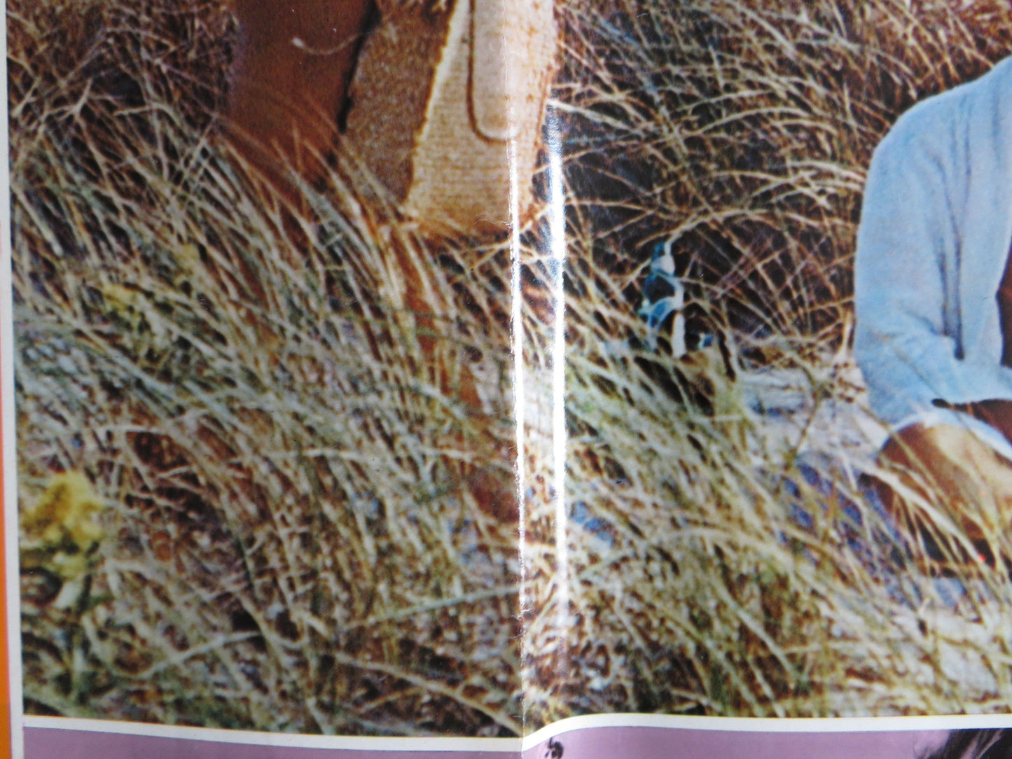 I BREVI GIORNI SELVAGGI / Last Summer - E ITALIAN FOTOBUSTA POSTER HERSHEY 1969 Rendezvous Cinema Movie posters