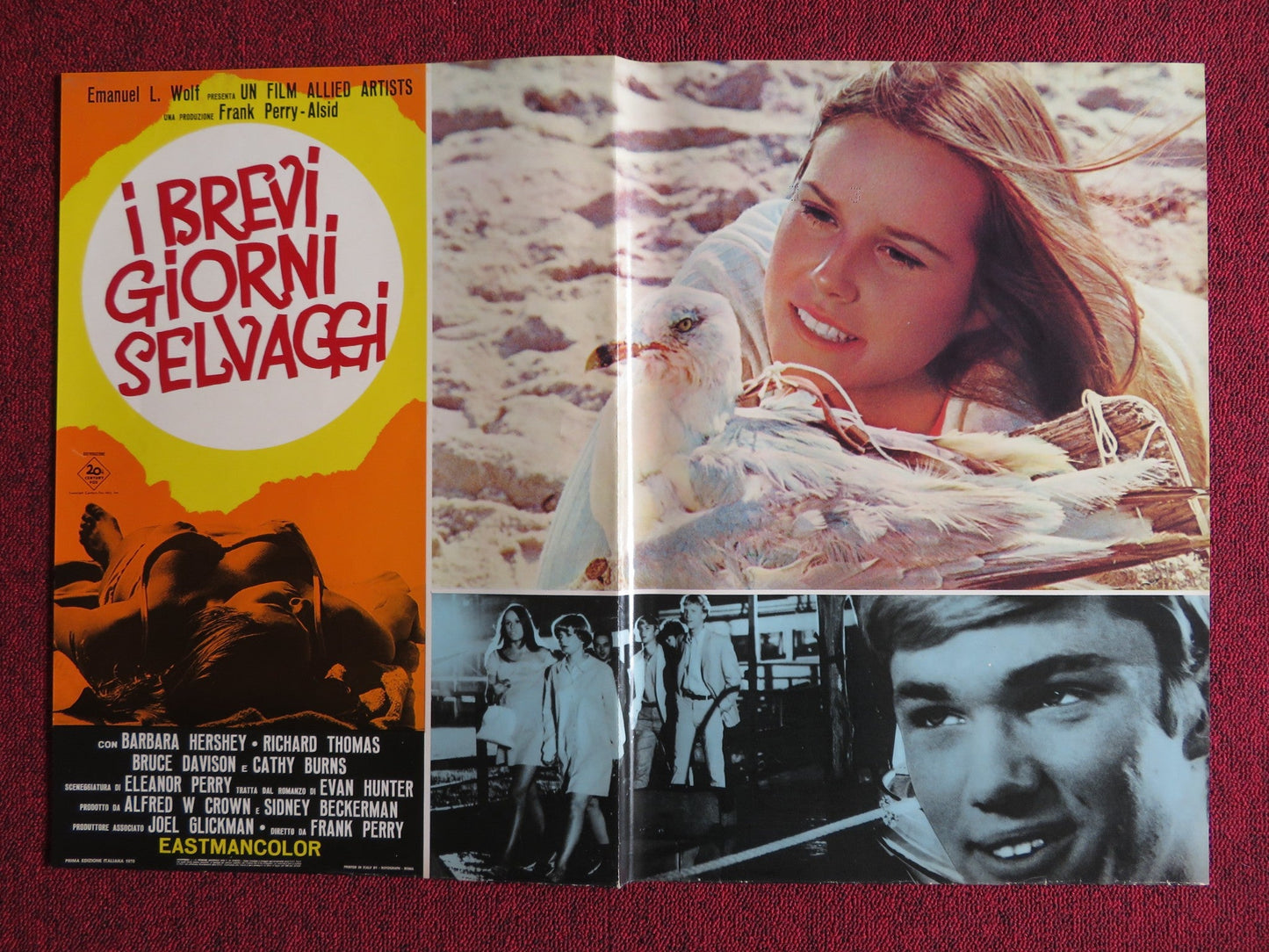 I BREVI GIORNI SELVAGGI / Last Summer - F ITALIAN FOTOBUSTA POSTER HERSHEY 1969 Rendezvous Cinema Movie posters