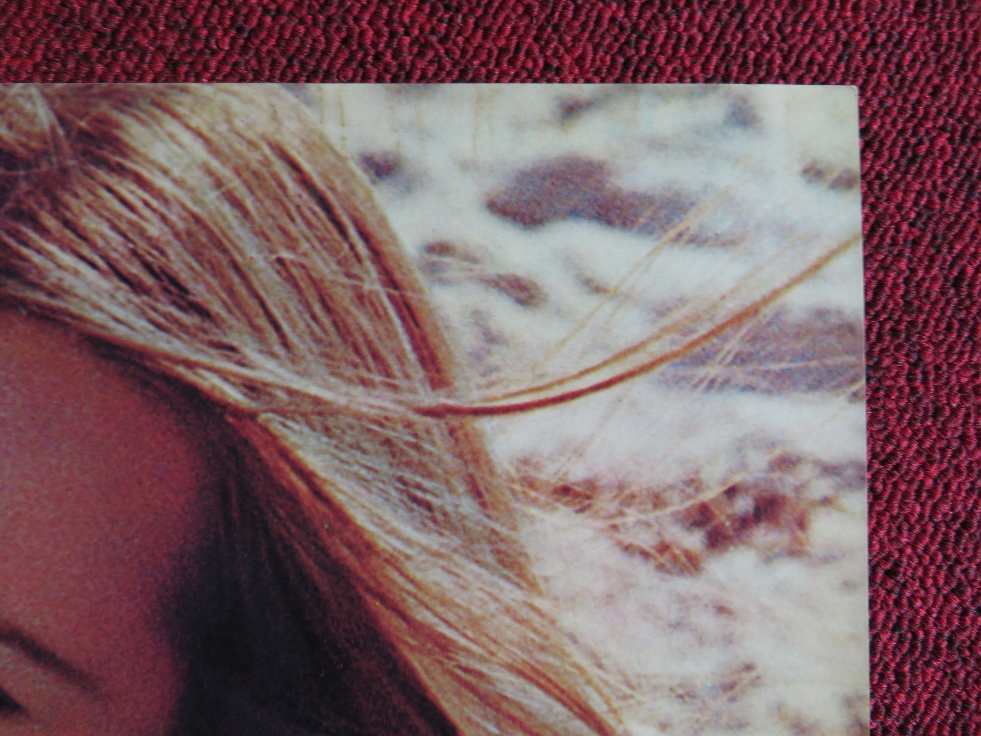 I BREVI GIORNI SELVAGGI / Last Summer - F ITALIAN FOTOBUSTA POSTER HERSHEY 1969 Rendezvous Cinema Movie posters