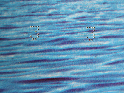 I BREVI GIORNI SELVAGGI / Last Summer - G ITALIAN FOTOBUSTA POSTER THOMAS 1969 Rendezvous Cinema Movie posters