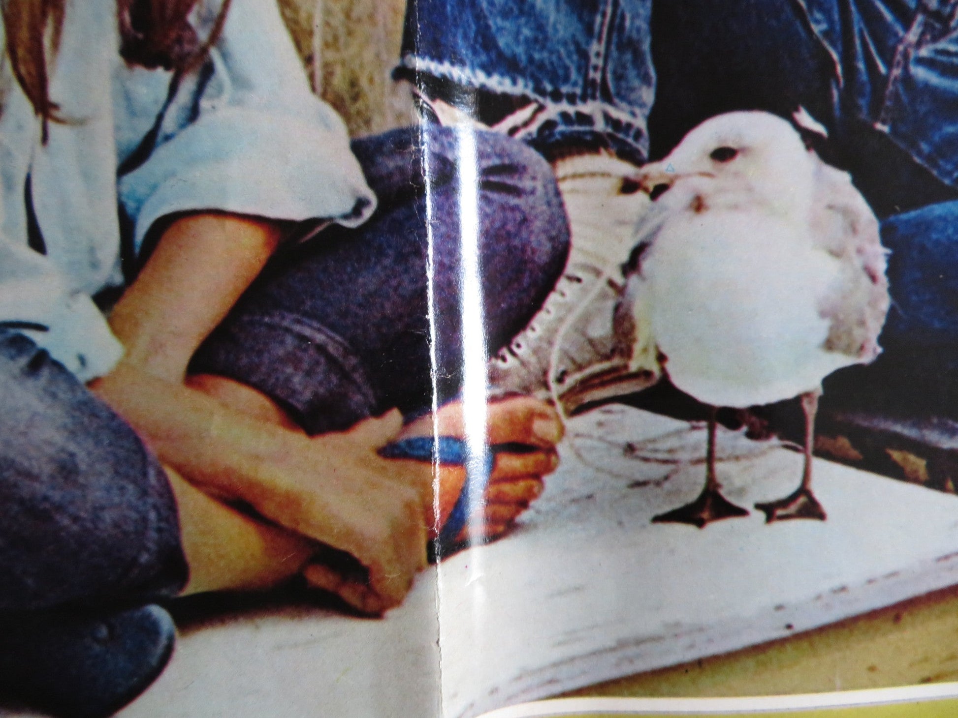 I BREVI GIORNI SELVAGGI / Last Summer - H ITALIAN FOTOBUSTA POSTER THOMAS 1969 Rendezvous Cinema Movie posters